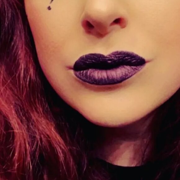 🌸 NIB Laura Lee Party Animal Eyeshadow Palette & OFRA Napa Valley Lipstick DUO - Picture 11 of 15